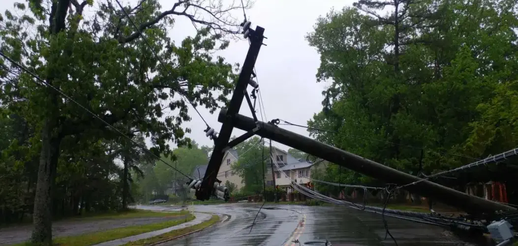 Transformer on an electric pole and a tree laying across power lines over a road after Hurricane.