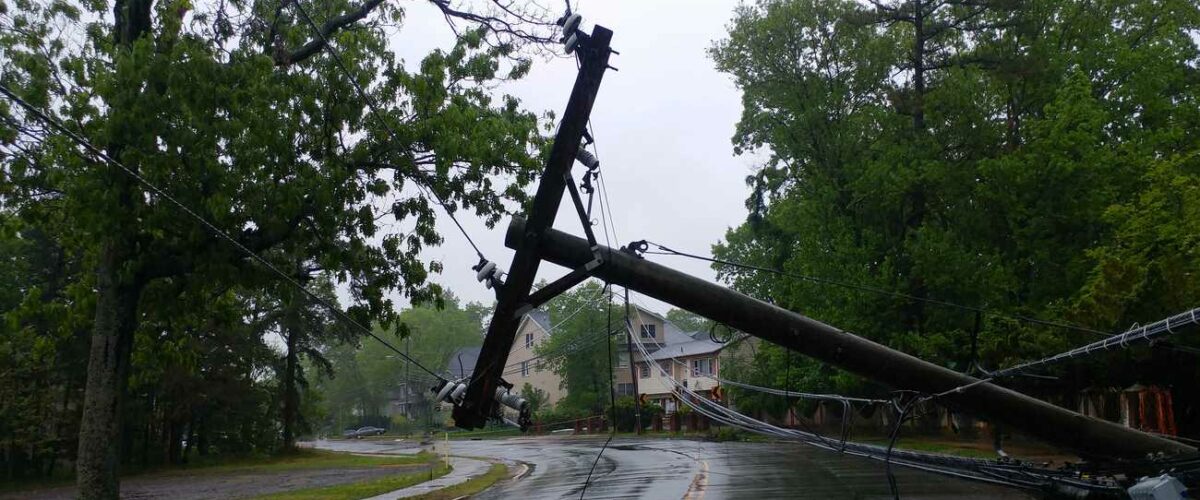 Transformer on an electric pole and a tree laying across power lines over a road after Hurricane.