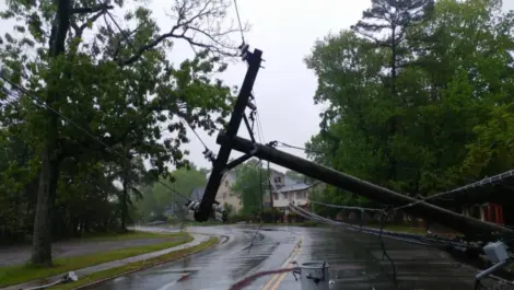 Transformer on an electric pole and a tree laying across power lines over a road after Hurricane.