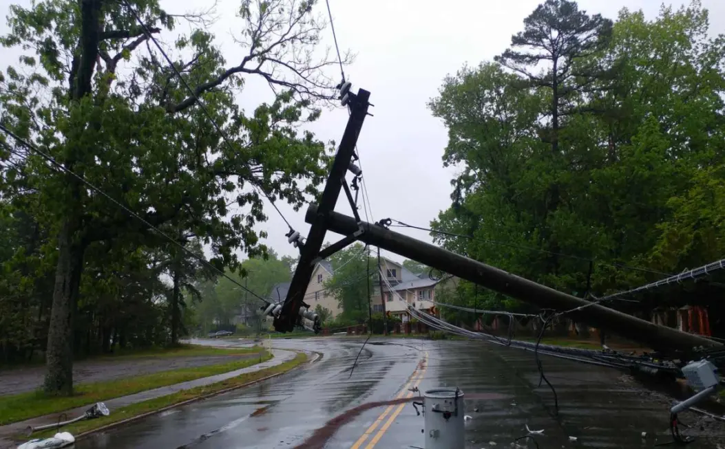 Transformer on an electric pole and a tree laying across power lines over a road after Hurricane.