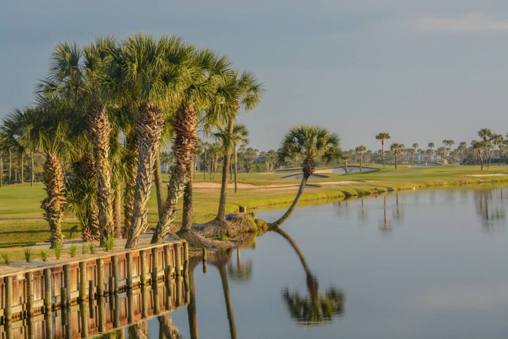 Palm trees on a golf course near Lake Vedra in Ponte Vedra Beach, Florida.