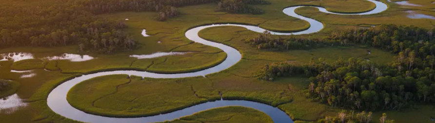 An aerial golden hour view of lush Florida wetlands and winding tidal waterways under a glowing distant horizon.