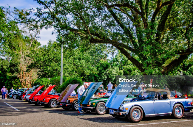 Antique cars lined up at a car show.